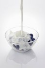 Yogur vertiendo sobre arándanos - foto de stock