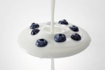Yogur vertiendo sobre arándanos - foto de stock