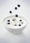 Blueberries falling in bowl of yogurt — Stock Photo