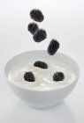 Amoras silvestres que caem no iogurte — Fotografia de Stock