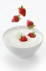 Fragole che cadono in yogurt — Foto stock
