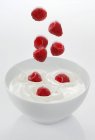 Lamponi che cadono in ciotola con yogurt — Foto stock