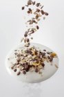 Muesli caindo em iogurte — Fotografia de Stock
