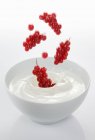Groselhas vermelhas que caem em iogurte — Fotografia de Stock