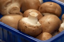 Cogumelos castanhos em caixa de plástico — Fotografia de Stock
