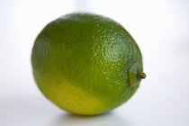 Closeup Whole Lime — Stock Photo