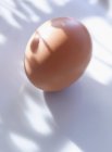 Свежее коричневое яйцо — стоковое фото