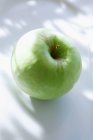Зеленое яблоко на солнце — стоковое фото