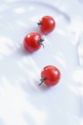 Tre pomodorini — Foto stock
