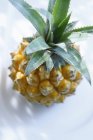 Whole little pineapple — Stock Photo