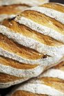 Fresh Olive bread — Stock Photo