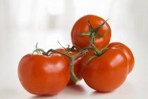 Лоза червоні помідори — стокове фото
