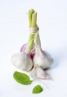 Fresh Green Garlic — Stock Photo