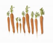 Свежая диаграмма спелых морковок — стоковое фото