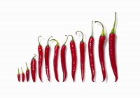 Pimentos de pimenta vermelha fresca — Fotografia de Stock
