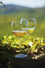 Copas de vino contra el paisaje de Friaul - foto de stock