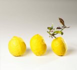 Limoni freschi e maturi — Foto stock