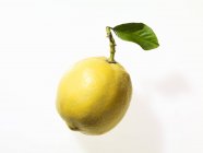Lemon with twig and leaves — Stock Photo