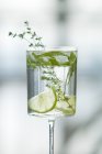 Vodka infusa alle erbe — Foto stock
