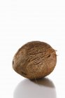 Свежий спелый кокос — стоковое фото