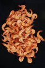 Варёные глубоководные креветки — стоковое фото