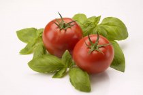Tomatoes and basil leaves — Stock Photo