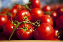 Tomates fraîches de vigne — Photo de stock