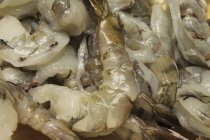 Crevettes tigrées pelées — Photo de stock