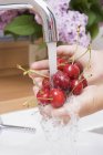 Woman washing ripe cherries — Stock Photo