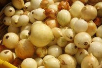 Cebollas en el Mercado de Agricultores - foto de stock