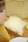 Vários pedaços de queijo — Fotografia de Stock