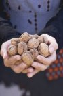 Woman holding walnuts in hands — Stock Photo