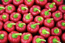Poivrons rouges entiers — Photo de stock