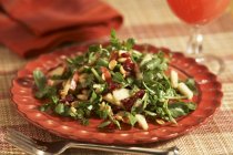 Salade de cresson aux pommes — Photo de stock