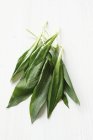 Vue rapprochée du tas de feuilles vert Ramson sur la surface blanche — Photo de stock