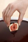 Hand dipped fig in chocolate — Stock Photo
