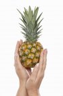 Mani che tengono l'ananas bambino — Foto stock