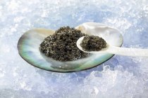 Black caviar in shell on pearl spoon — Stock Photo