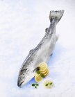 Salmone fresco con fette di limone — Foto stock