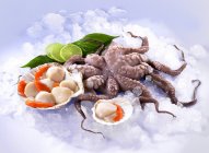 Jacobs muscles and octopus — Stock Photo