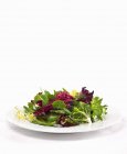 Mixed organic salad garnished with ice beetroot on white plate — Stock Photo