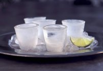Disparos de vodka congelados - foto de stock