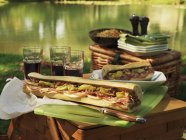 Пикник на озере с Muffuletta — стоковое фото