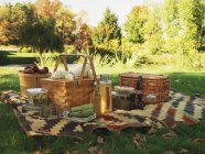 Vista diurna de una manta de picnic y cestas de picnic en un campo - foto de stock
