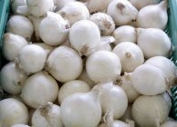 Cebollas blancas en cajas - foto de stock