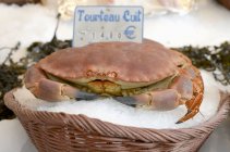 Rohe Krabben auf dem Wochenmarkt — Stockfoto