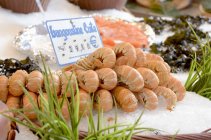 Pilha de lagostas no mercado de rua — Fotografia de Stock