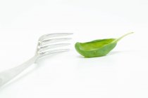 Basil leaf on fork — Stock Photo