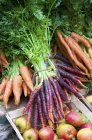 Fresh carrots and apples — Stock Photo