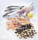 Frische Sardinen mit Tintenfisch und Muskeln — Stockfoto
